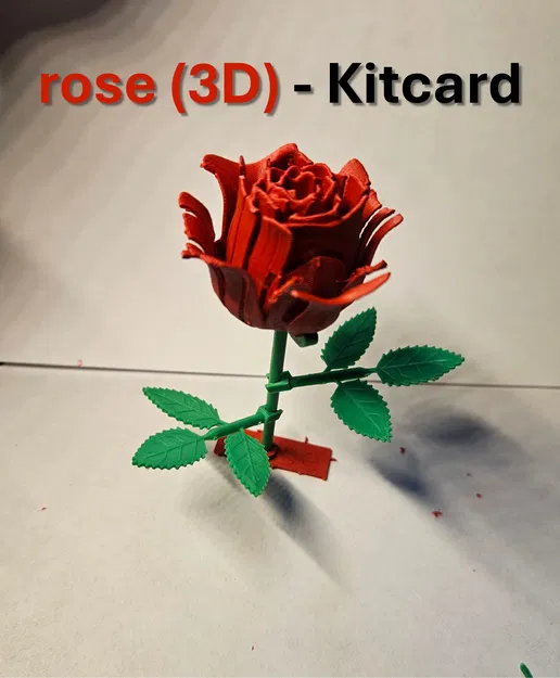 Hoa Hồng Kitcard - Image 2