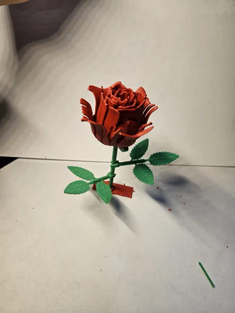 Hoa Hồng Kitcard - Image 4