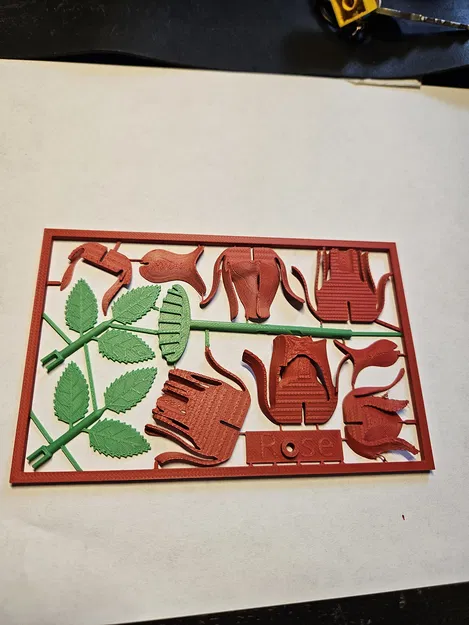 Hoa Hồng Kitcard - Image 5