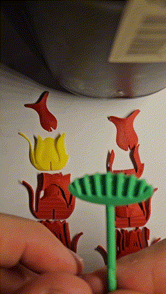 Hoa Hồng Kitcard - Image 6