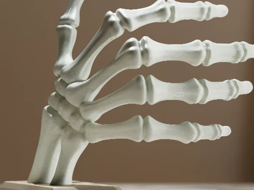 Kệ Sách Bàn Tay Bộ Xương Halloween - Image 3