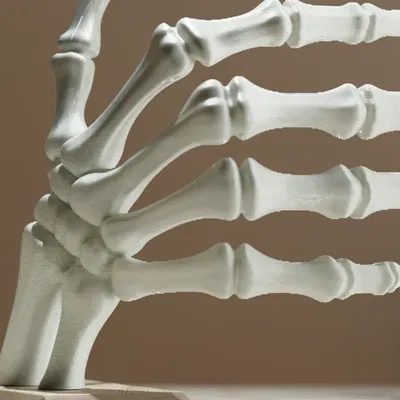 Kệ Sách Bàn Tay Bộ Xương Halloween