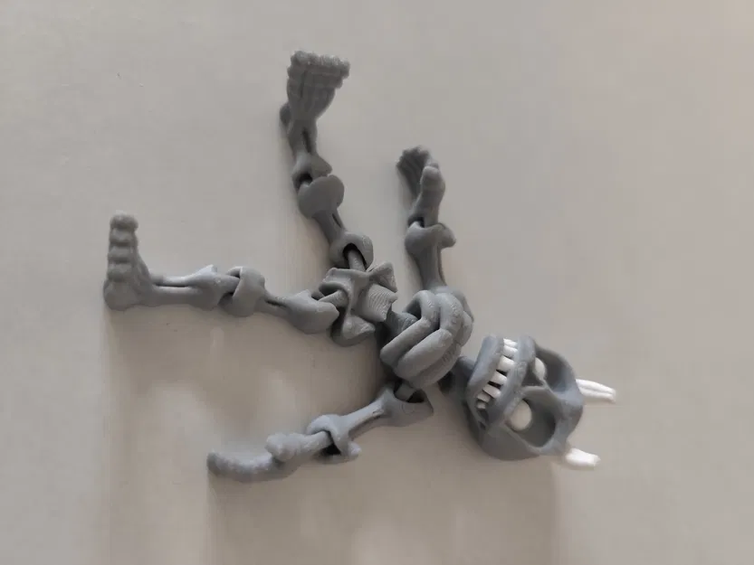 Mô hình bộ xương flexi - Image 2