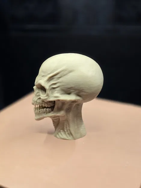 Người Canh Giữ Vực Thẳm – Hộp Sọ Người Ngoài Hành Tinh Siêu Chi Tiết - Image 3