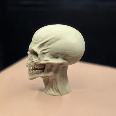 Người Canh Giữ Vực Thẳm – Hộp Sọ Người Ngoài Hành Tinh Siêu Chi Tiết