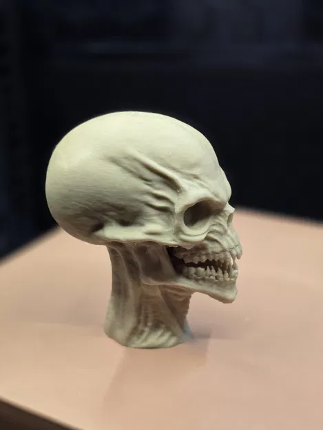 Người Canh Giữ Vực Thẳm – Hộp Sọ Người Ngoài Hành Tinh Siêu Chi Tiết - Image 4