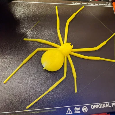 Mô hình Nhện Góa Phụ Đen có thể uốn dẻo kèm vòng treo