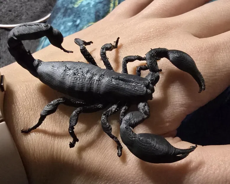 Mô hình Bọ cạp Heterometrus silenus - Image 2