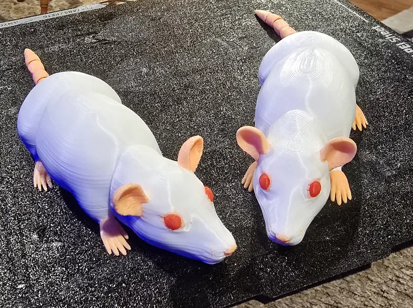 Đồ chơi chuột thật có khớp nối - Image 1