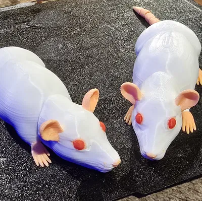 Đồ chơi chuột thật có khớp nối