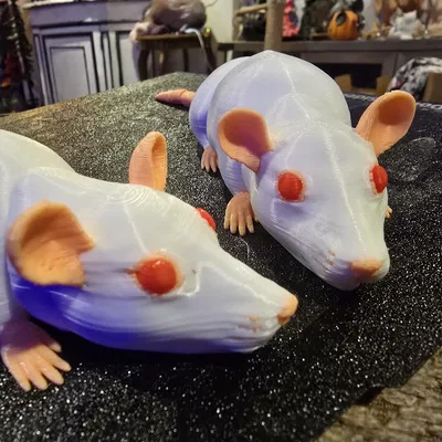 Đồ chơi chuột thật có khớp nối