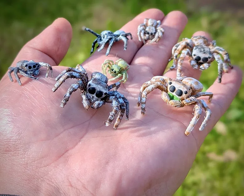 Nhện Nhảy - Dễ In - Image 1