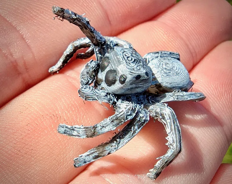 Nhện Nhảy - Dễ In - Image 4