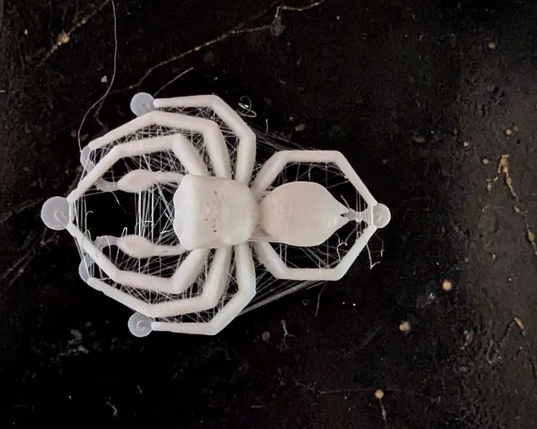 Nhện Nhảy - Dễ In - Image 5