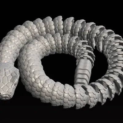 Rắn Dính - Sticky Snake