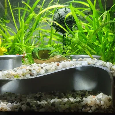 Đường Hầm Hang Động Cho Hồ Cá Thủy Sinh