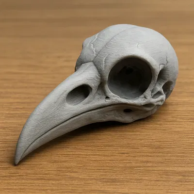 Hộp Sọ Quạ Siêu Thực - Trang Trí Halloween