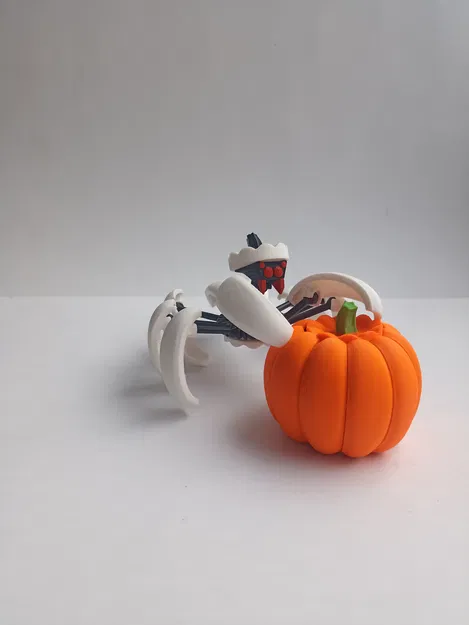 Nhện Bí Ngô Biến Hình - Image 3