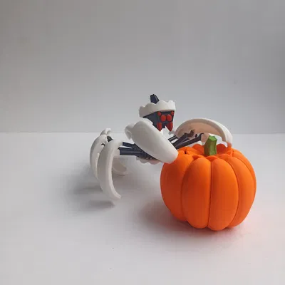 Nhện Bí Ngô Biến Hình