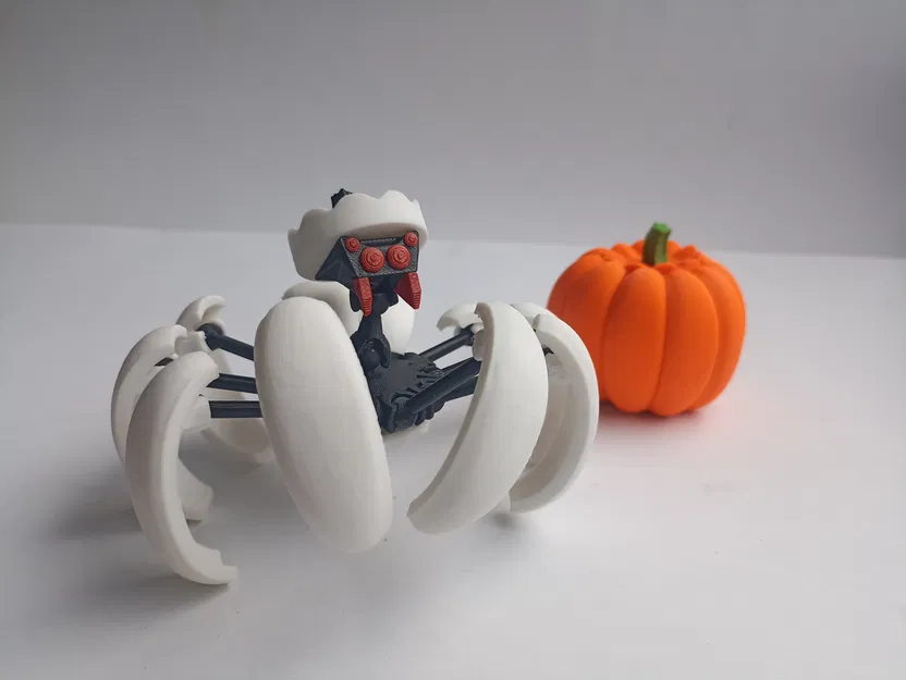 Nhện Bí Ngô Biến Hình - Image 4