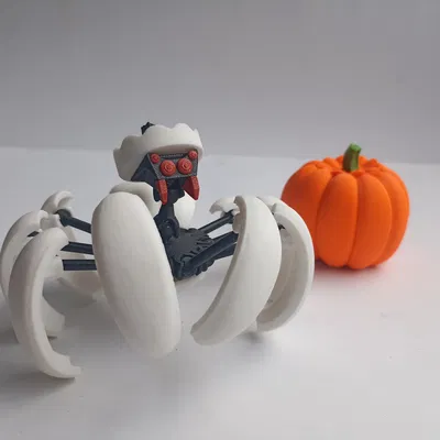 Nhện Bí Ngô Biến Hình