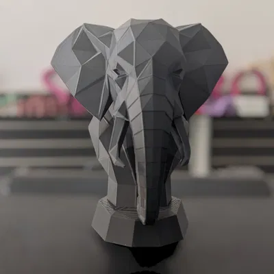 Chân dung Voi Hình học