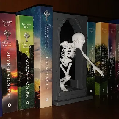 Mô Hình Hộp Sách Bộ Xương "Skeleton Book Nook"