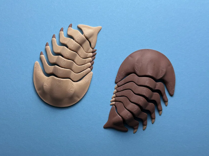 Trilobite Khớp Nối - Image 1