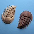 Trilobite Khớp Nối - Thumbnail 1