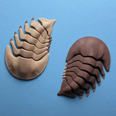 Trilobite Khớp Nối