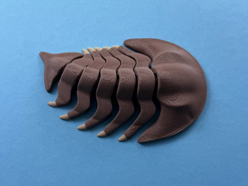 Trilobite Khớp Nối - Image 2