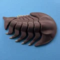 Trilobite Khớp Nối - Thumbnail 2