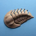 Trilobite Khớp Nối - Thumbnail 3
