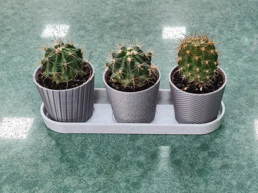 Bộ 3 Chậu Mini Hình Xương Rồng Có Khay - Image 1