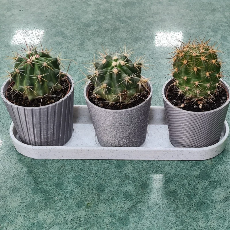 Bộ 3 Chậu Mini Hình Xương Rồng Có Khay