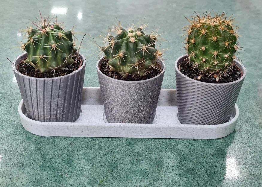 Bộ 3 Chậu Mini Hình Xương Rồng Có Khay - Image 2