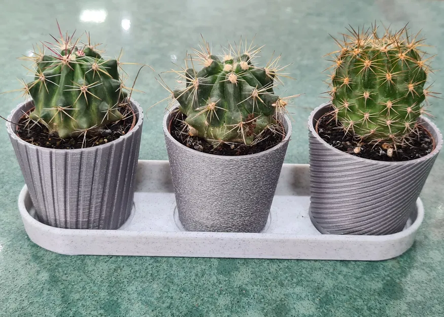 Bộ 3 Chậu Mini Hình Xương Rồng Có Khay - Image 3