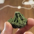Bông Cải Xanh Scan 3D - Thumbnail 2