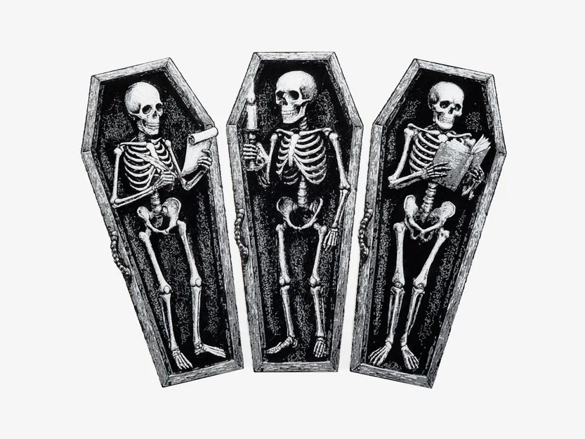 Kẹp Sách Hình Bộ Xương Trong Quan Tài - Image 4