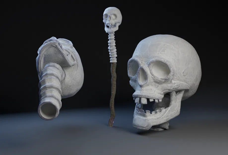 Đầu Lâu và Cột Sống Toff / Chóp Gậy - Image 2