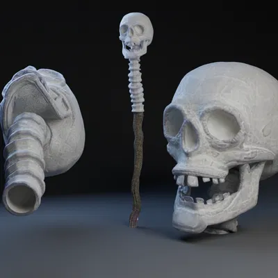 Đầu Lâu và Cột Sống Toff / Chóp Gậy