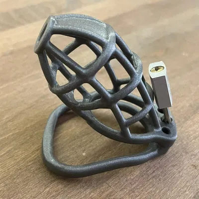 Lồng Soái Ca In 3D