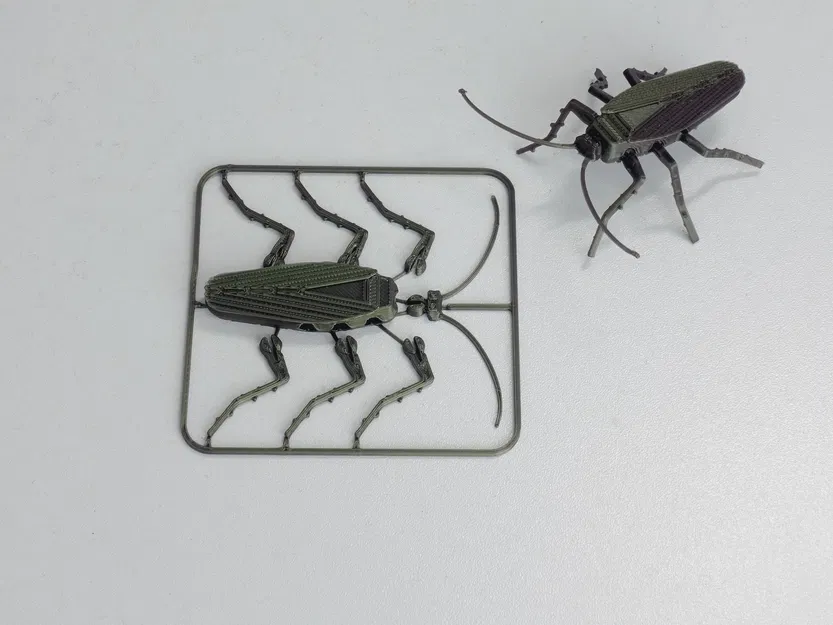 Gián Có Khớp Nối - Image 1