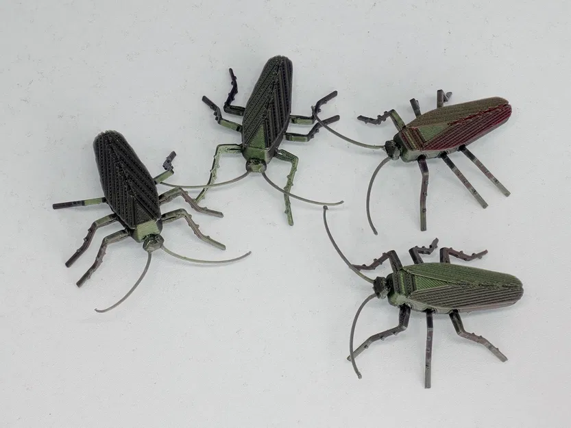 Gián Có Khớp Nối - Image 2