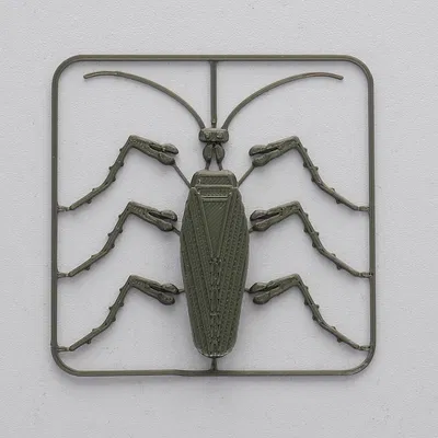 Gián Có Khớp Nối