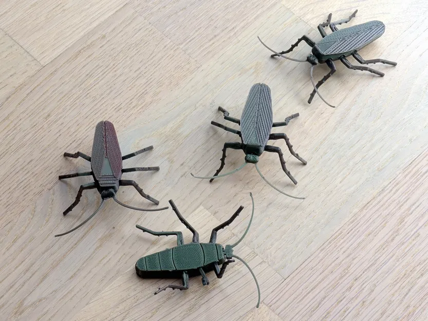 Gián Có Khớp Nối - Image 4