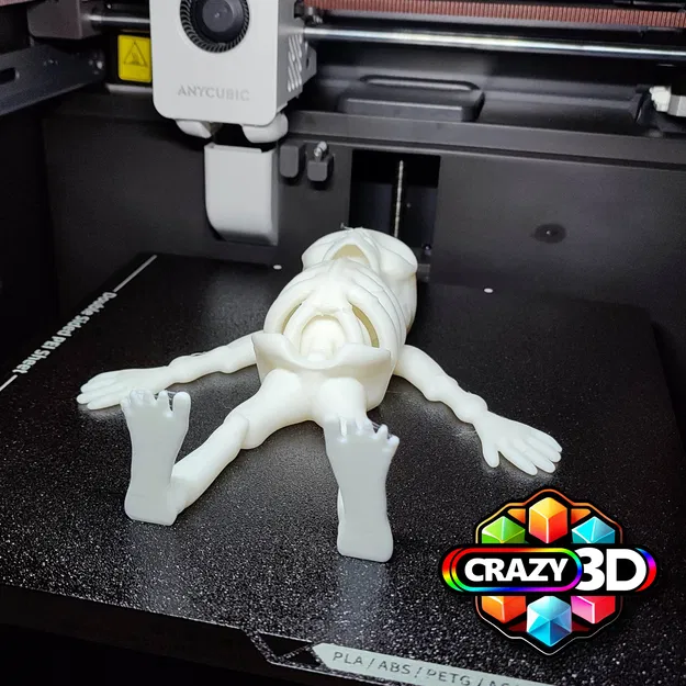 Mô Hình Khung Xương Khớp Dẻo - Có thể làm mini 38mm!! - Image 4