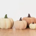 Trang Trí Bí Ngô Hiện Đại - Thumbnail 2
