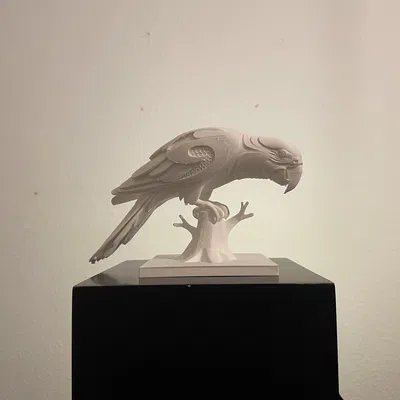 Tượng Vẹt Hexa Độc Đáo