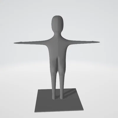 Mô Hình Người Đang T-pose